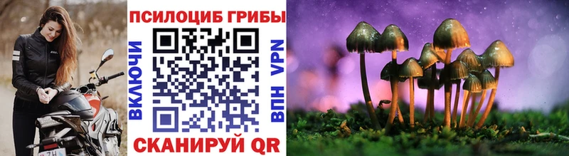 Псилоцибиновые грибы прущие грибы  купить наркотики сайты  Плёс 
